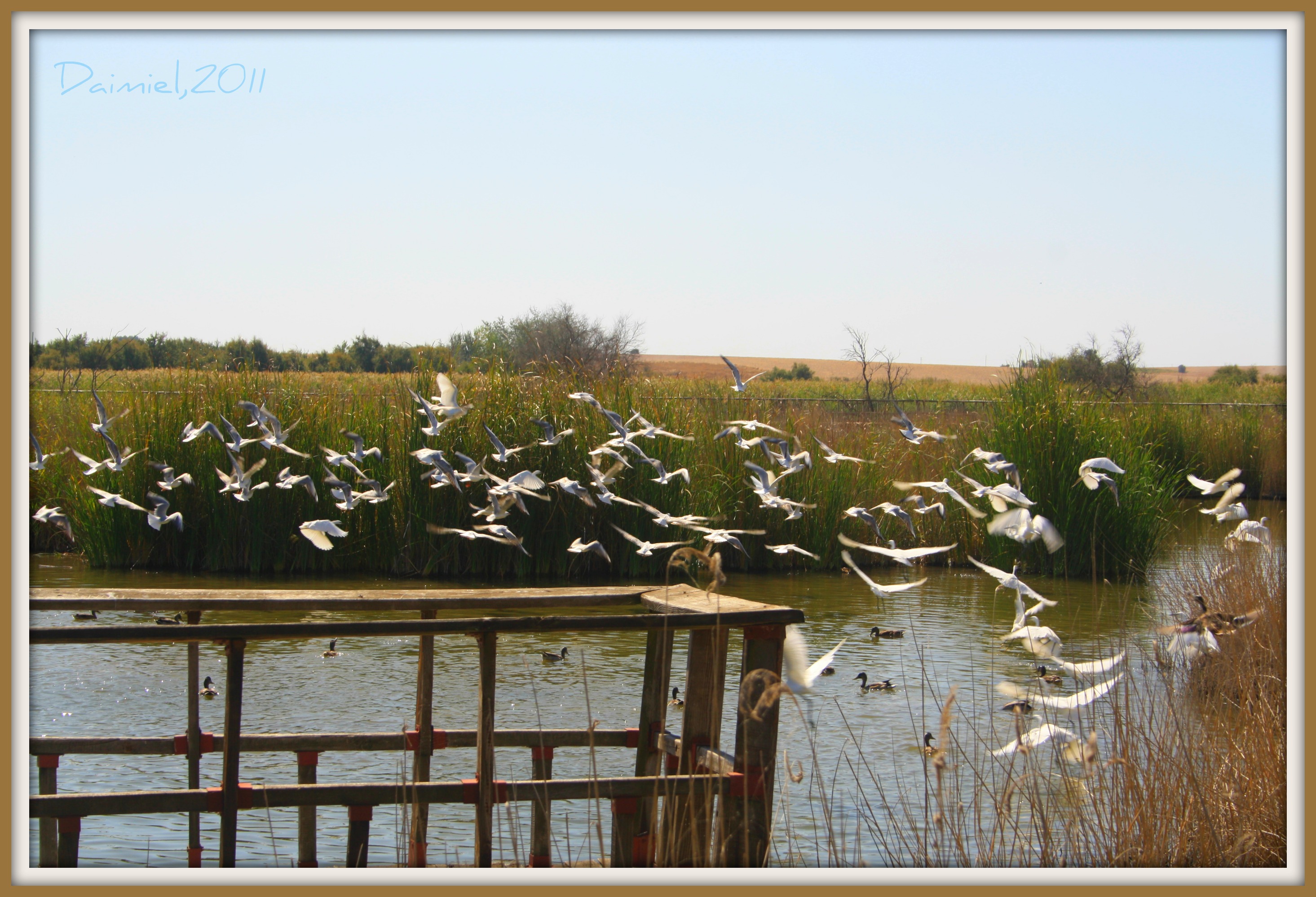Visitar tablas de daimiel casas rurales en ciudad real con padel y